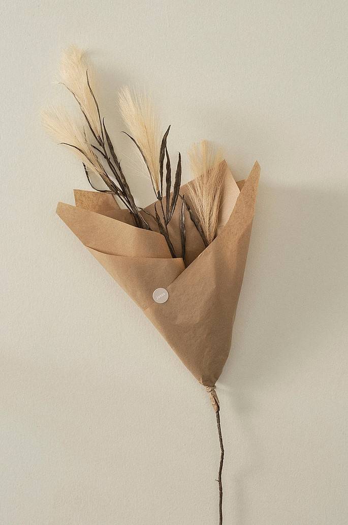 Jotex PAMPAS WIND 1 Stängel Kostenloser Versand