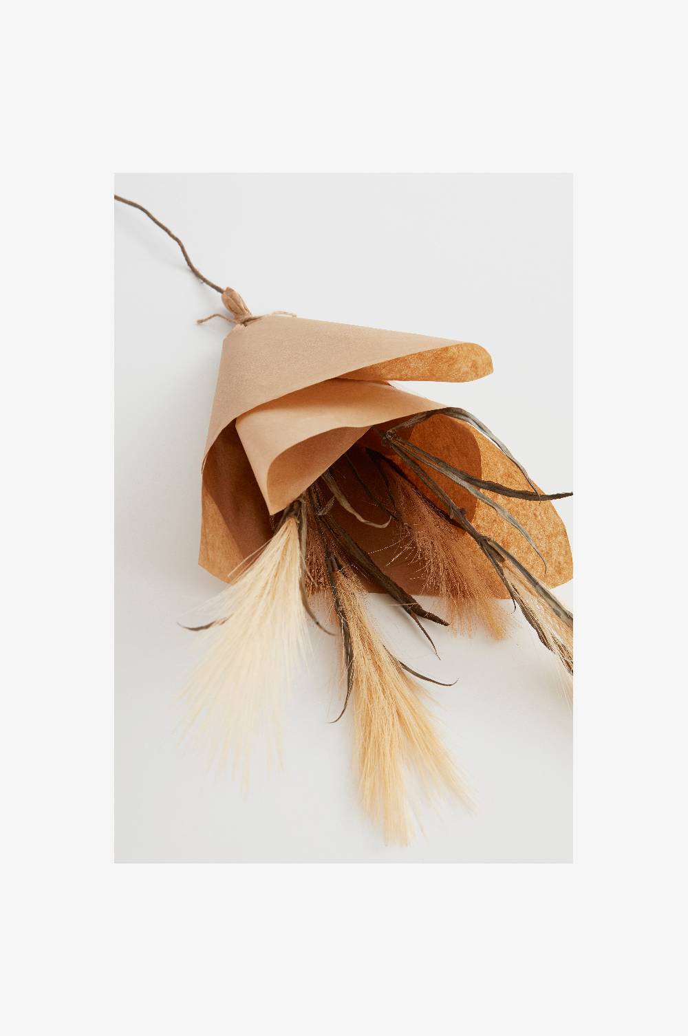 Jotex PAMPAS WIND 1 Stängel Kostenloser Versand
