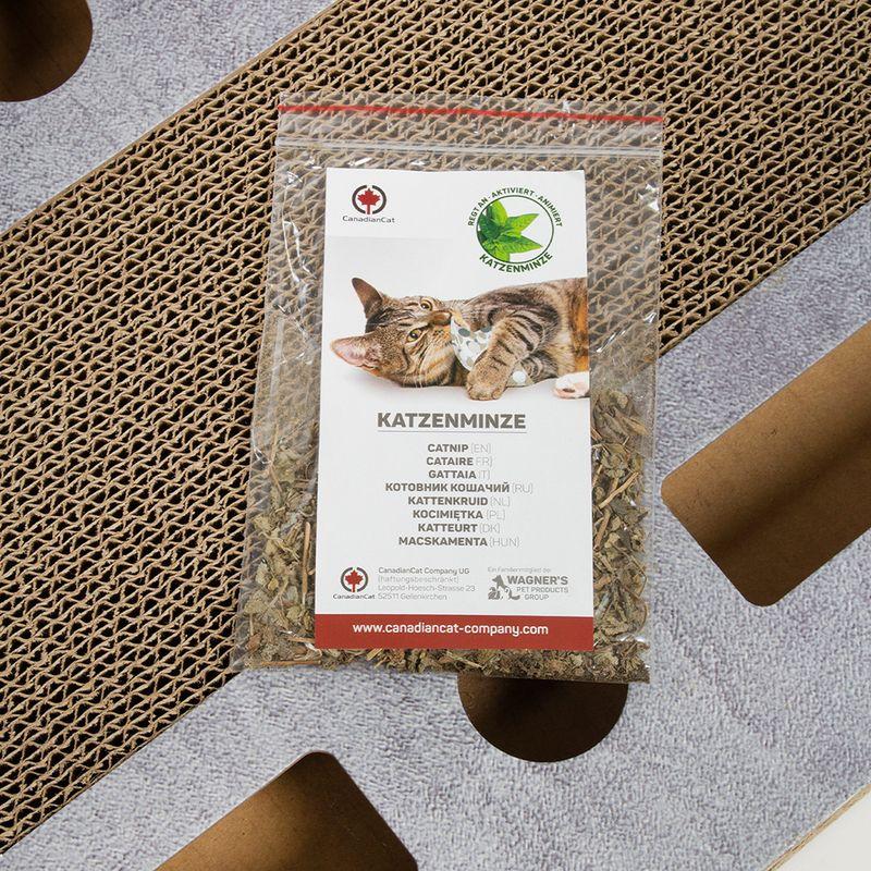 zooplus CanadianCat Company Katzenspielplatz PlayPlate kaufen Speichern exportieren
