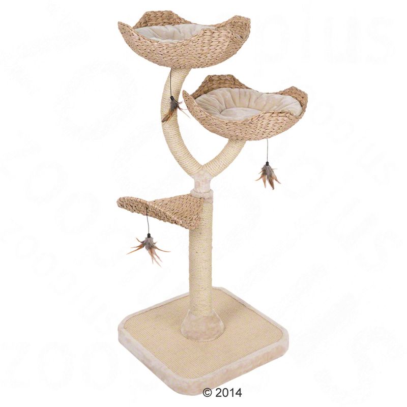 zooplus Kratzbaum Cat´s Flower kaufen Günstiger Verkauf