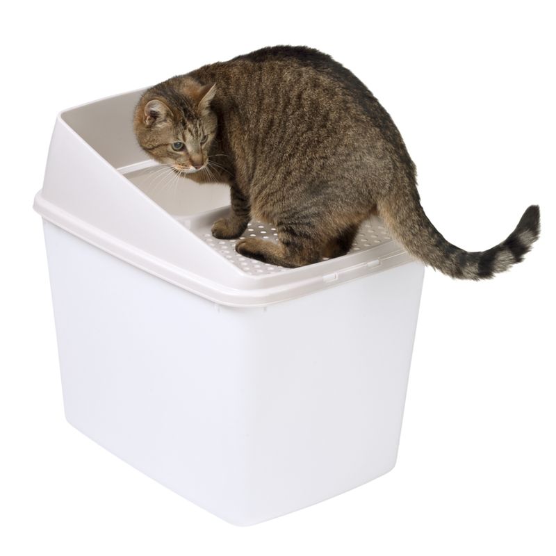 zooplus Katzentoilette Big Box kaufen Kostenloser Versand
