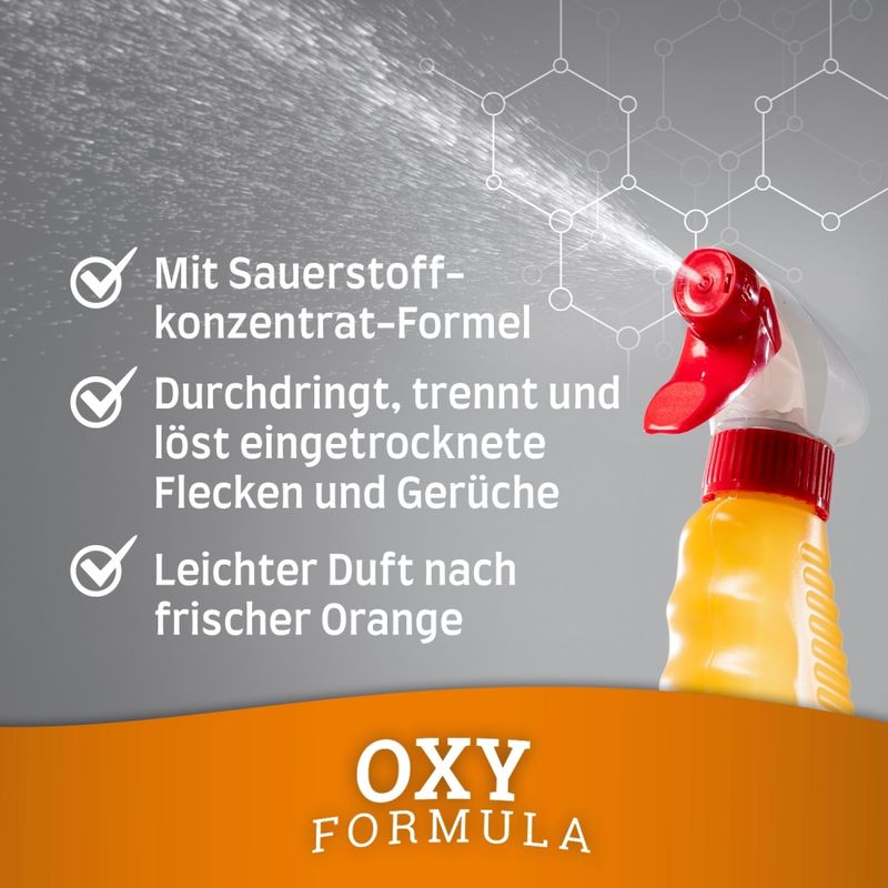 zooplus Nature's Miracle Katze Set-In Flecken- und Geruchsentferner kaufen Preisnachlass