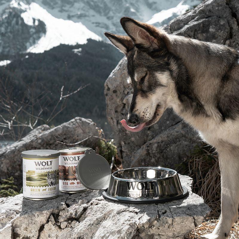 zooplus Wolf of Wilderness Dosendeckel kaufen Limitierter Zeitrabatt