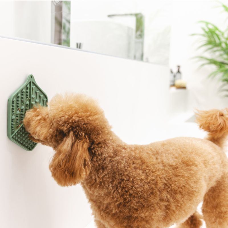 zooplus kooa Schleckmatte Bathtime kaufen Großer Ausverkauf