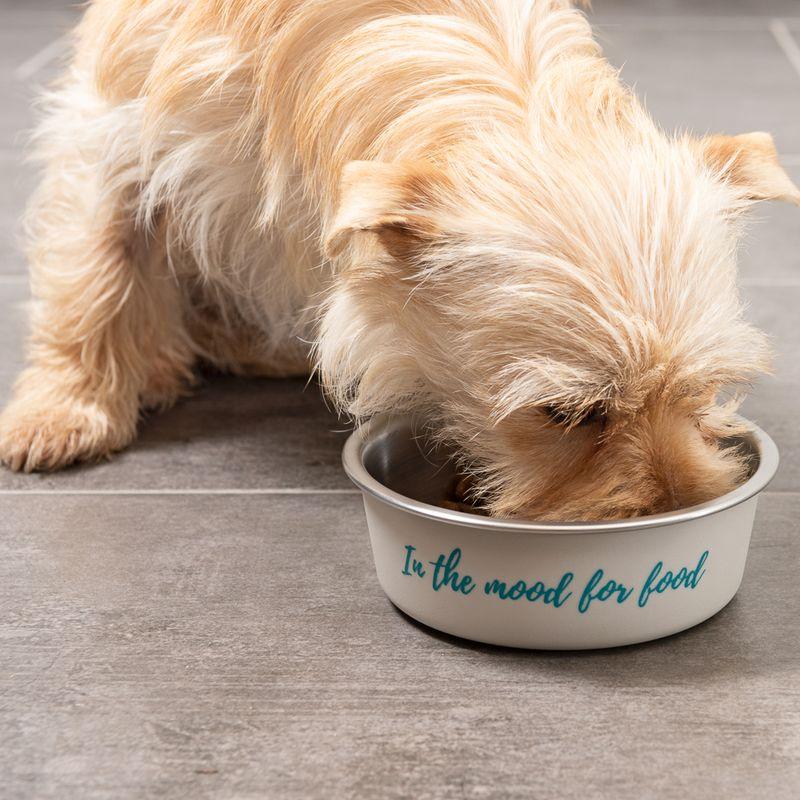 zooplus TIAKI Edelstahlnapf In The Mood For Food kaufen Online Shopping