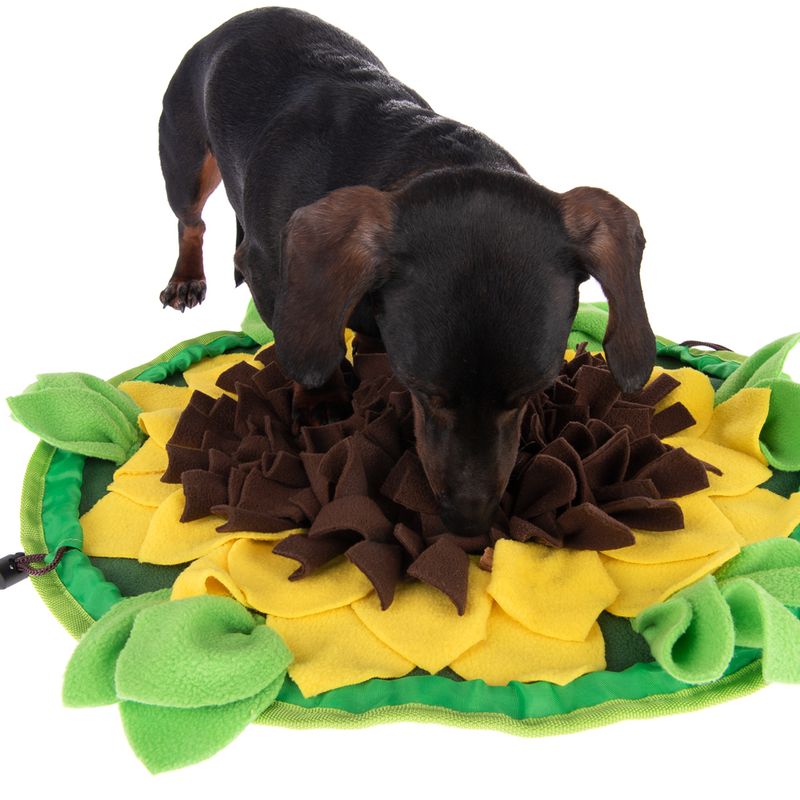 zooplus Schnüffelteppich Sunnyflower kaufen Muttertagsangebot