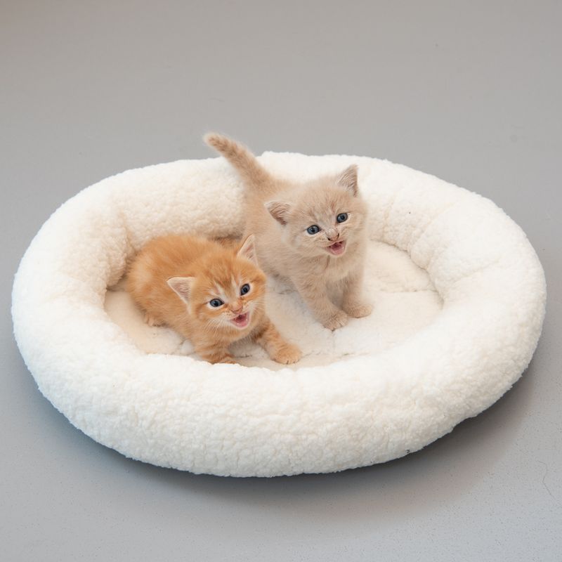zooplus Kuschelbett Fluffy 2in1 kaufen Top Angebot