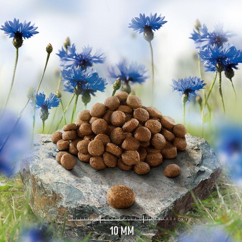 zooplus Purizon Single Meat Huhn mit Kamillenblüten kaufen Sonderangebot der Fabrik