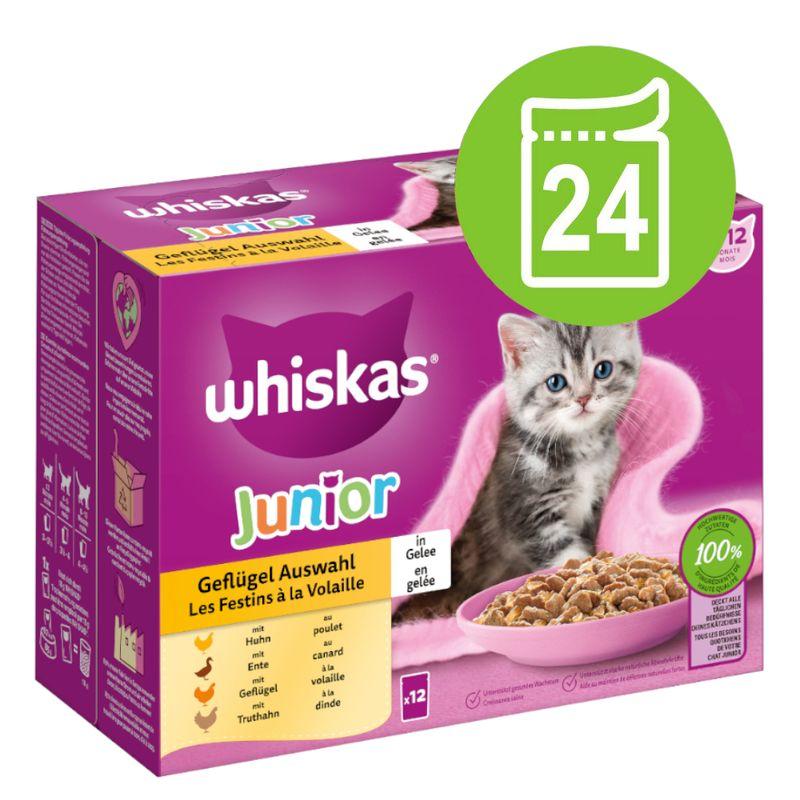 zooplus Megapack Whiskas Junior Frischebeutel 24 x 85 g kaufen Clearance-Verkauf