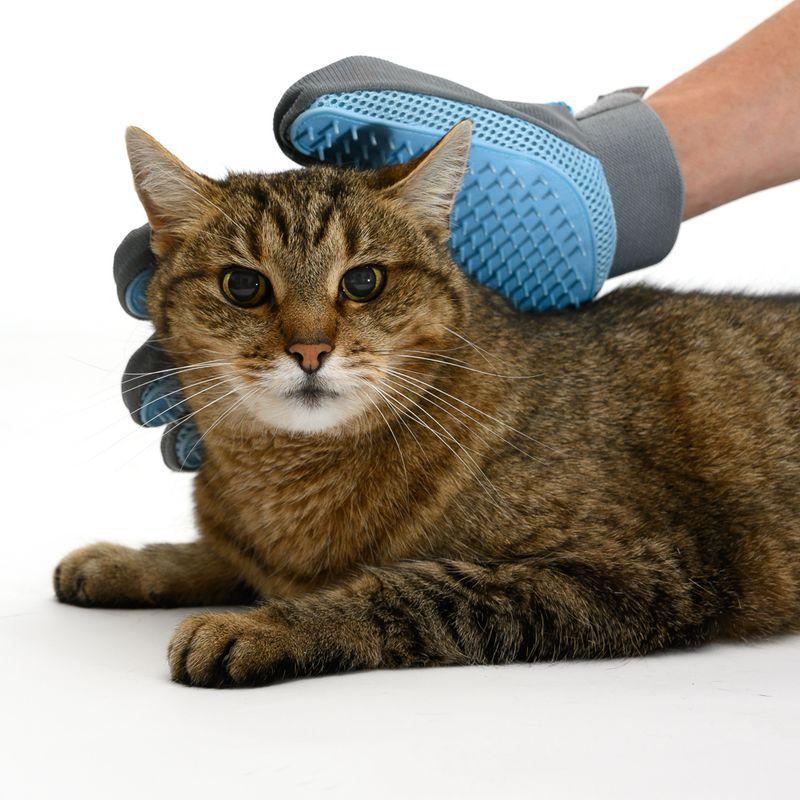 zooplus Fellpflege Handschuh Katze kaufen Auslauf