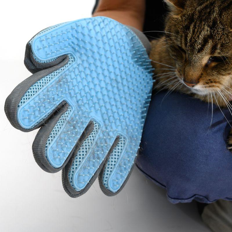 zooplus Fellpflege Handschuh Katze kaufen Auslauf