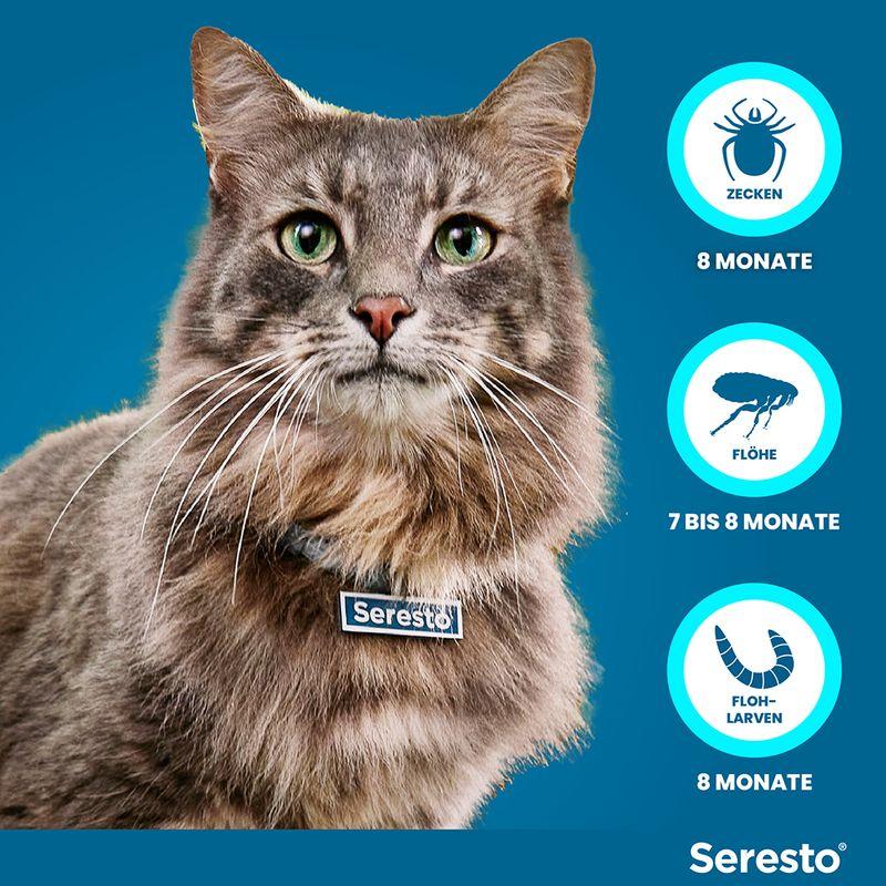 zooplus Seresto® Halsband Katze kaufen Vierteljährliche Förderung