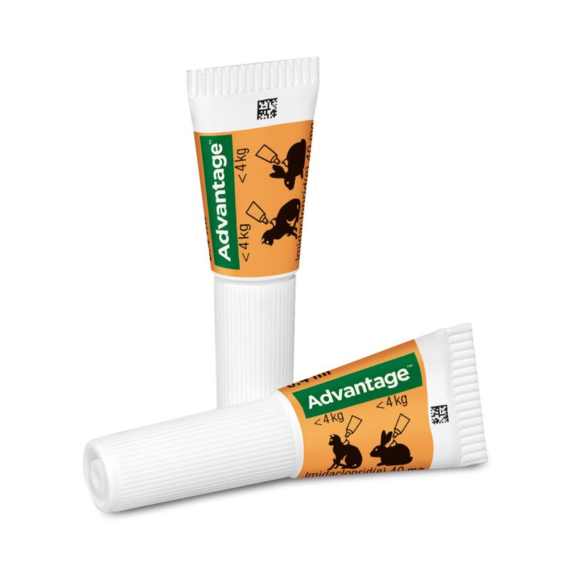 zooplus Advantage® für Katzen und Zierkaninchen kaufen Discount Store für neue Produkte