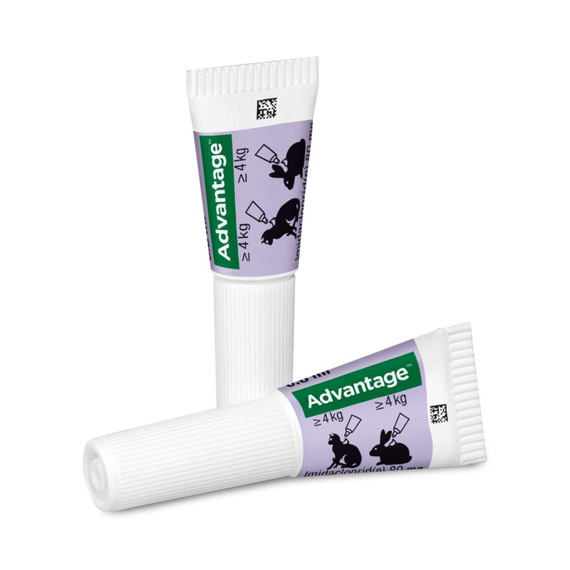 zooplus Advantage® für Katzen und Zierkaninchen kaufen Discount Store für neue Produkte