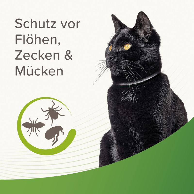 zooplus beaphar Reflektierendes Zecken- & Flohschutz-Halsband für Katzen kaufen Kostenloser Versand international