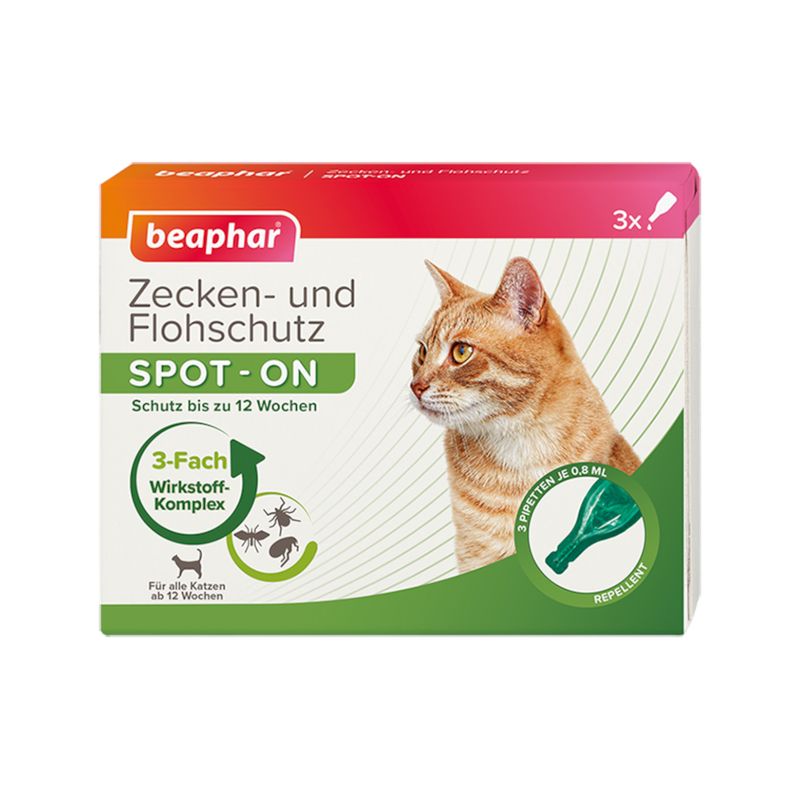 zooplus beaphar SPOT-ON für Katzen kaufen Speichern exportieren