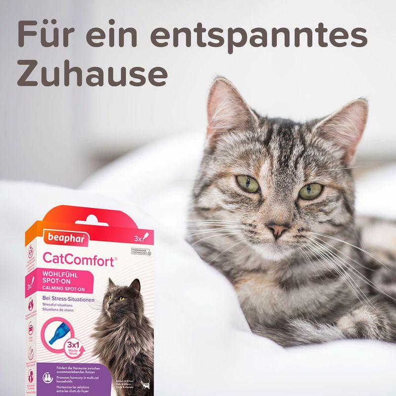 zooplus beaphar CatComfort Wohlfühl Spot-On kaufen Im Verkauf