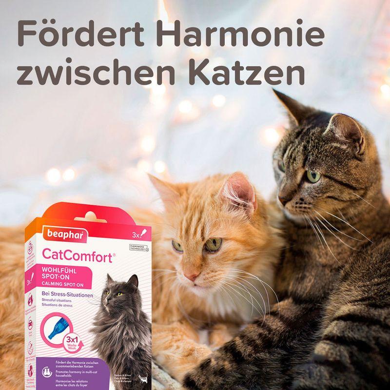 zooplus beaphar CatComfort Wohlfühl Spot-On kaufen Im Verkauf