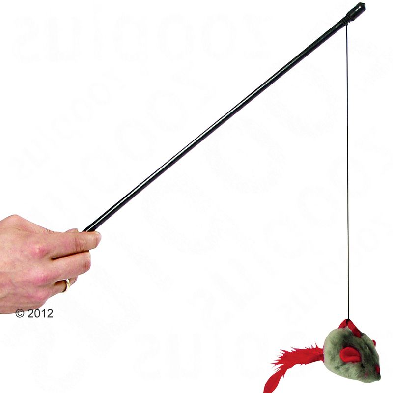 zooplus Spielangel Soundmaus kaufen Angebote