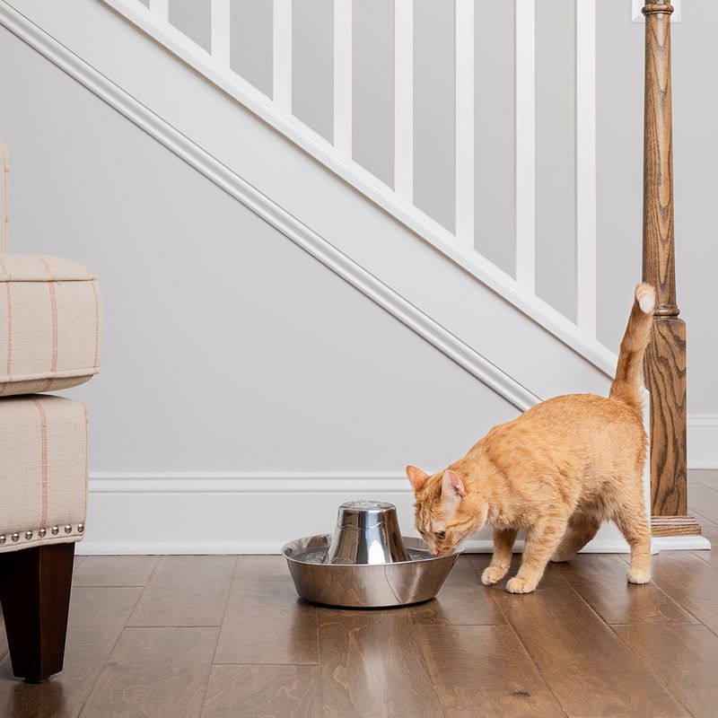 zooplus PetSafe® Edelstahl-Trinkbrunnen Küstenrauschen kaufen Meist gekauft