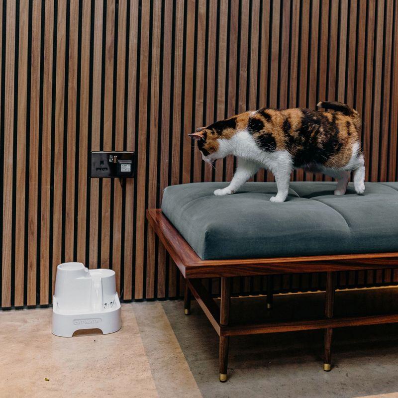 zooplus Cat Mate Trinkbrunnen 2 Liter kaufen Limitierter Zeitrabatt
