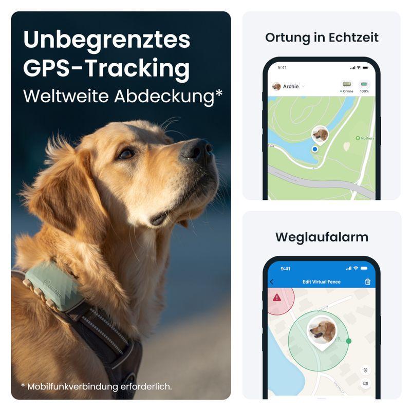 zooplus Tractive XL GPS Tracker für Hunde kaufen Bestseller