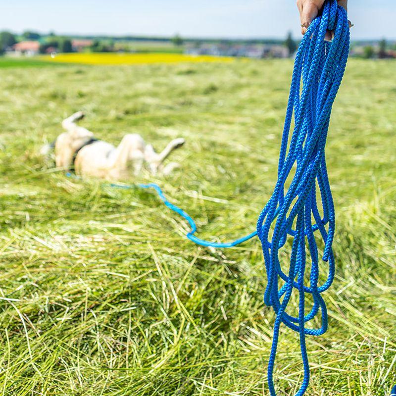 zooplus Pawz & Pepper Schleppleine Rund geflochten blau kaufen Sonderangebote