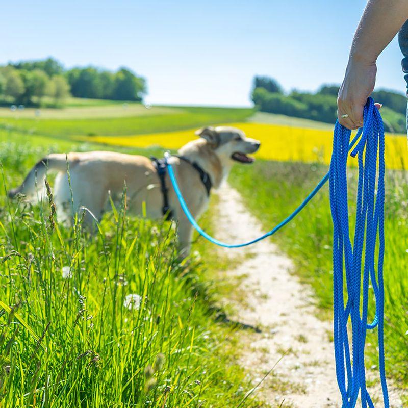 zooplus Pawz & Pepper Schleppleine Rund geflochten blau kaufen Sonderangebote