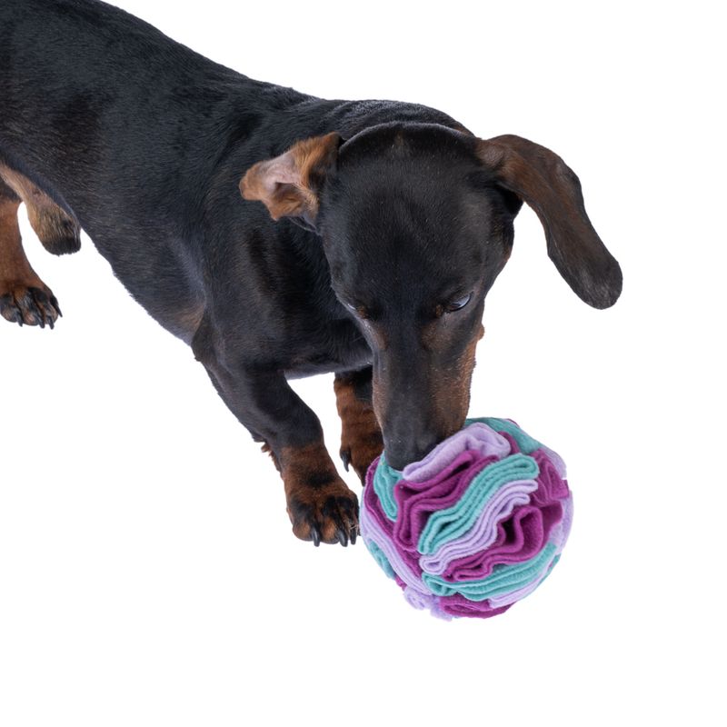 zooplus zooplus Basics Hundespielzeug Schnüffelball kaufen Günstig kaufen