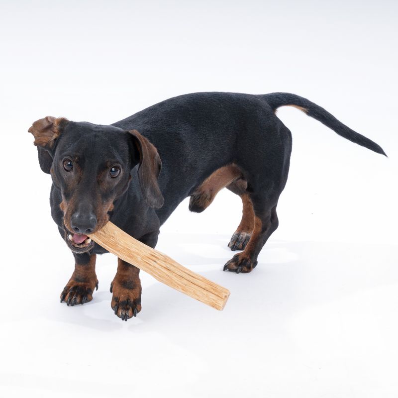 zooplus Nomad Tales Calma Litschiholz für Hunde kaufen Versandkostenfrei