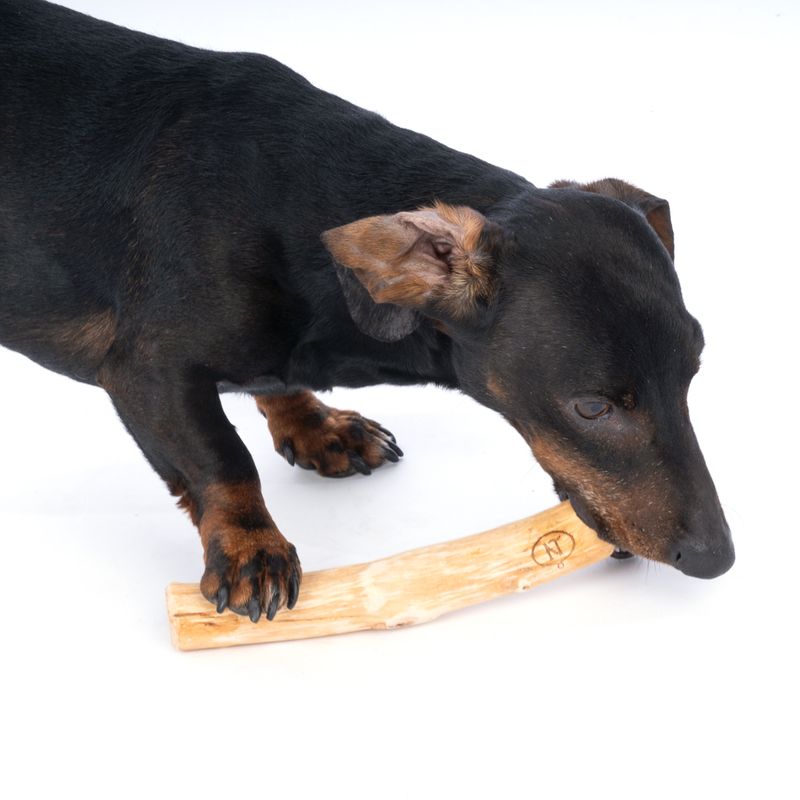 zooplus Nomad Tales Calma Litschiholz für Hunde kaufen Versandkostenfrei