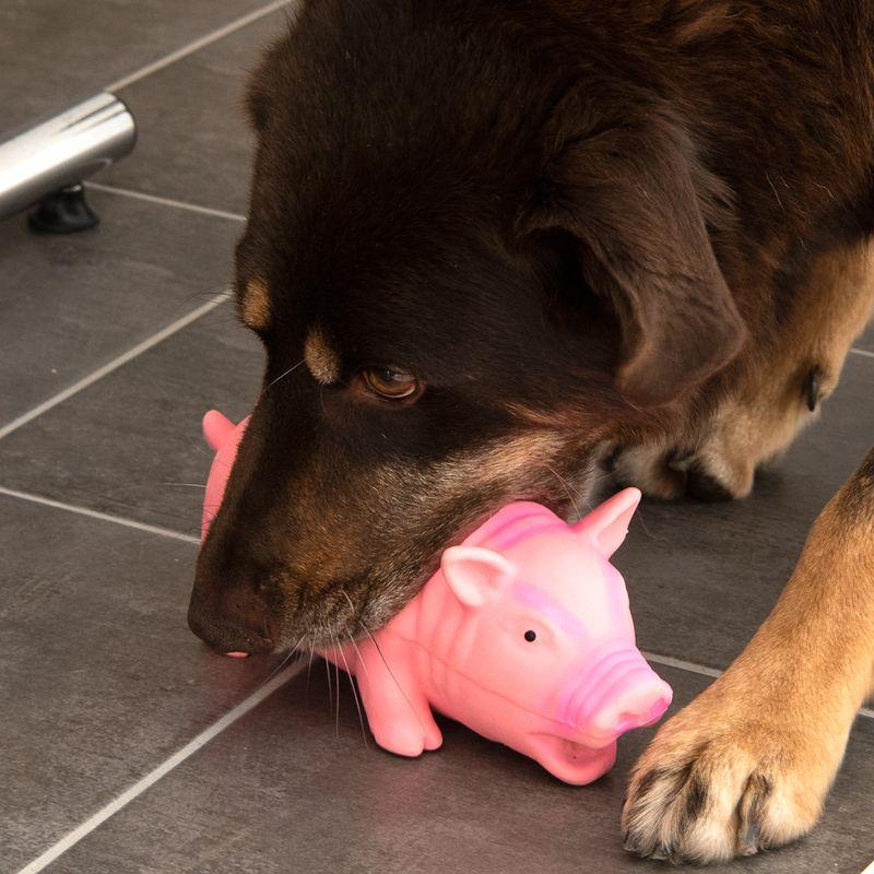 zooplus Hundespielzeug Latex-Schwein mit Stimme kaufen Online Shopping