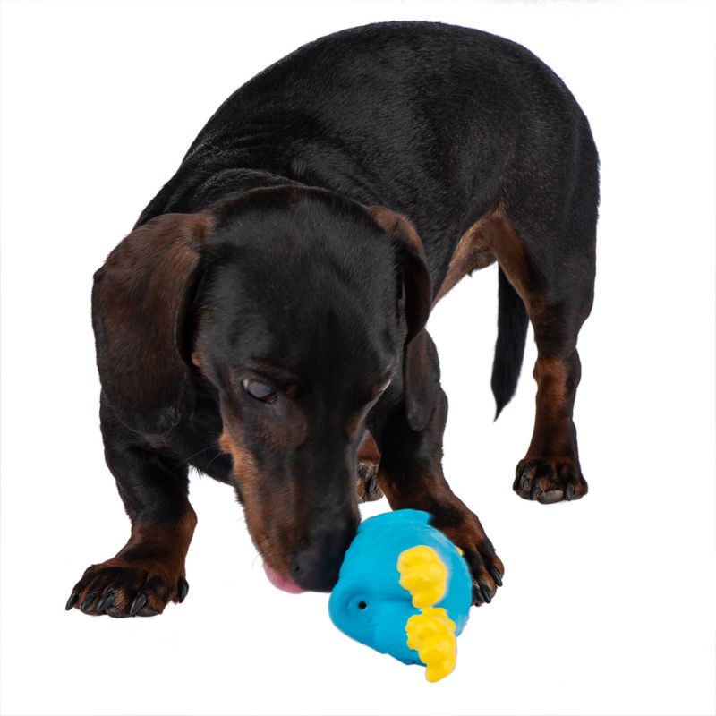 zooplus Hundespielzeug Latex Charlotte kaufen Cyber Monday