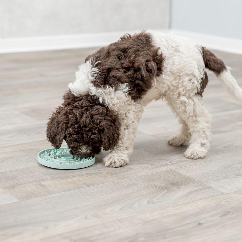 zooplus Trixie Junior Lick'n'Snack Schleckplatte kaufen Osterangebot