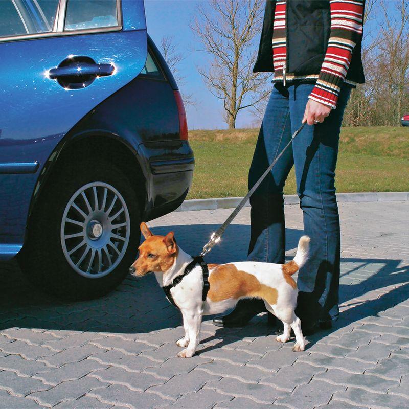 zooplus Trixie Friends on Tour Kurzführer fürs Auto kaufen Online Outlet