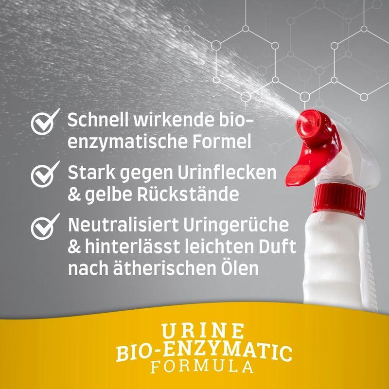 zooplus Nature's Miracle Hunde Urinflecken- und Geruchsentferner kaufen Räumungsverkauf