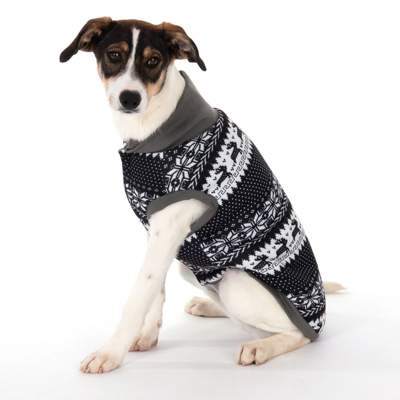 zooplus Hundepullover mit Norwegermuster kaufen Letzte 2 Tage