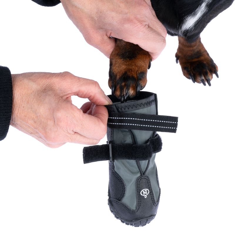 zooplus Nomad Tales Spirit Hundeschuhe kaufen Nur für heute