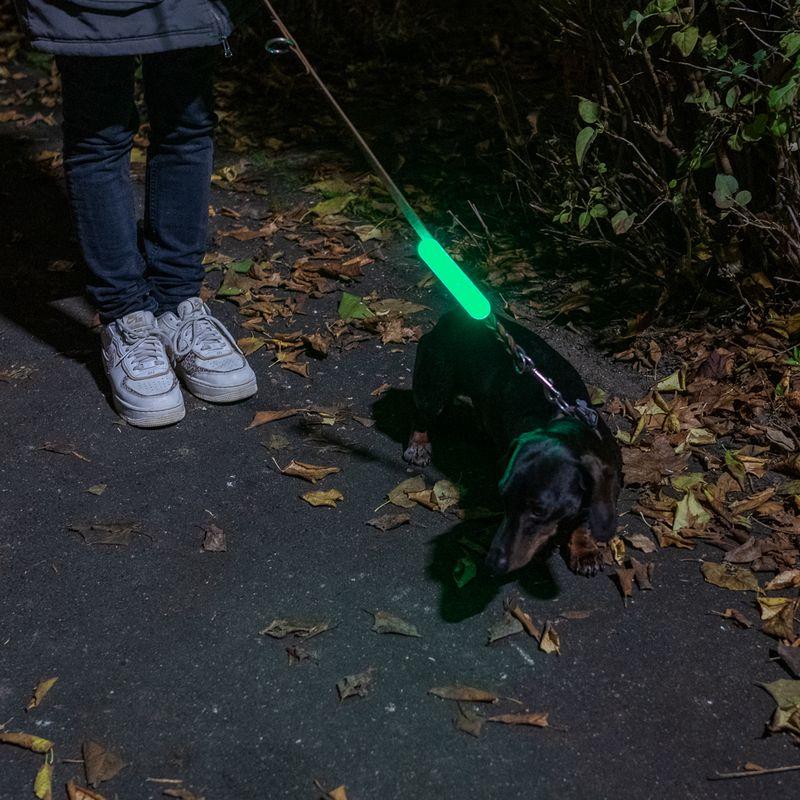 zooplus Nomad Tales Spirit USB Leuchtband Silikon kaufen Bis zu 55% Rabatt