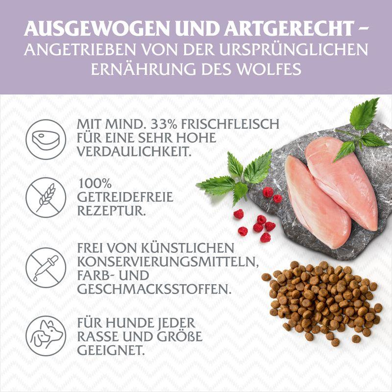 zooplus Wolf of Wilderness Junior Wild Hills Ente - getreidefrei kaufen Online