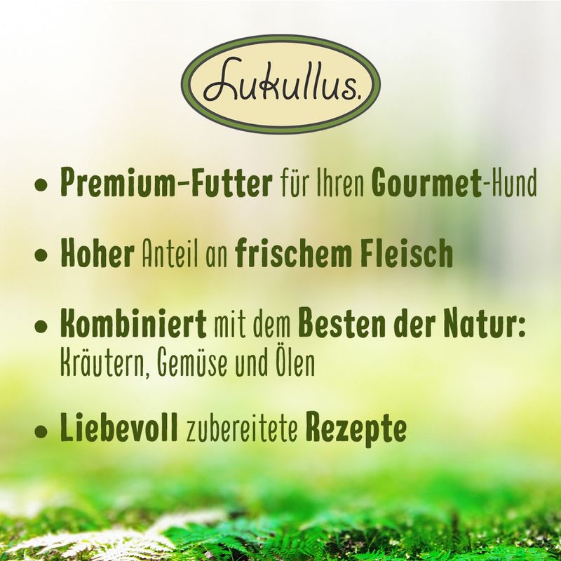 zooplus Lukullus Naturkost Junior 6 x 400 g kaufen Verkauf