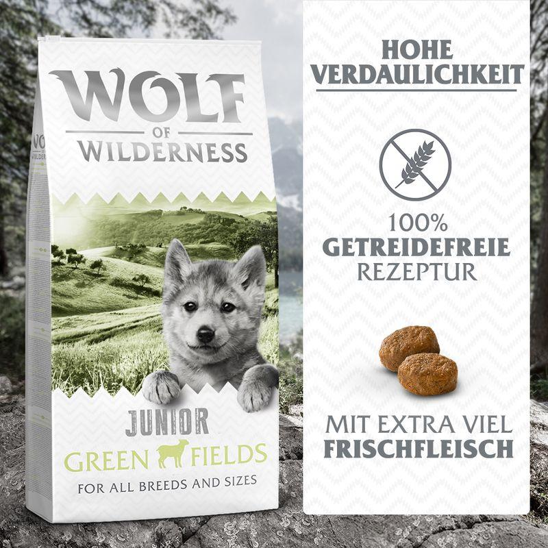 zooplus Wolf of Wilderness Junior Green Fields Lamm - getreidefrei kaufen