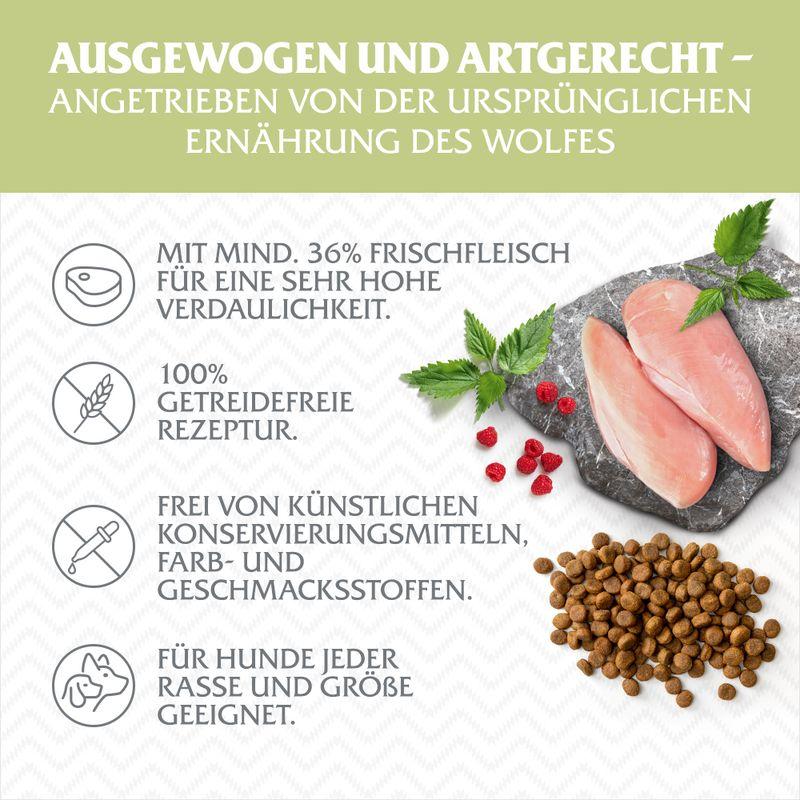 zooplus Wolf of Wilderness Junior Green Fields Lamm - getreidefrei kaufen im Angebot