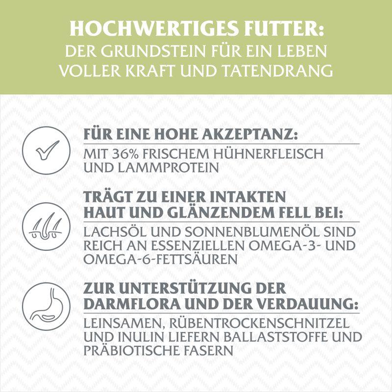 zooplus Wolf of Wilderness Junior Green Fields Lamm - getreidefrei kaufen im Angebot