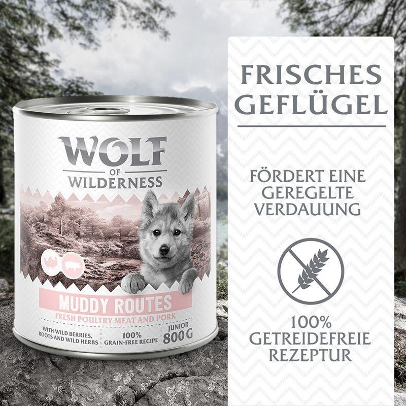 zooplus Wolf of Wilderness Junior - mit viel frischem Geflügel 6 x 800 g kaufen Schlussverkauf