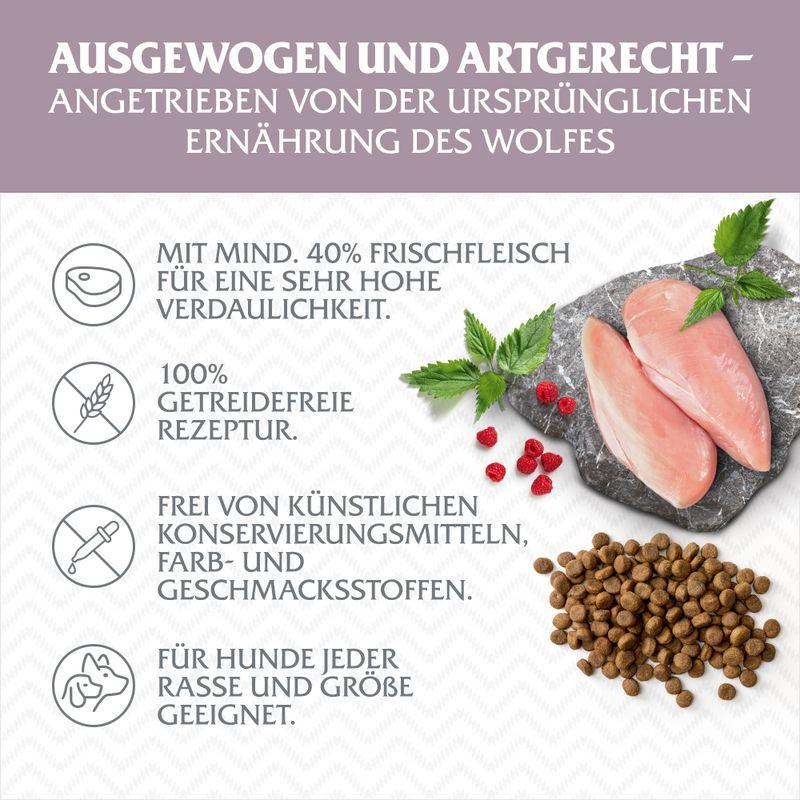 zooplus Wolf of Wilderness Adult Wild Hills Ente - getreidefrei kaufen Limitierter Zeitrabatt