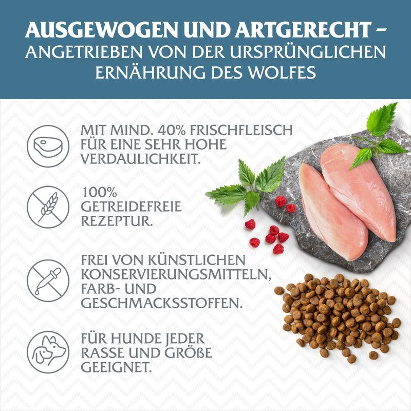 zooplus Wolf of Wilderness Adult Blue River Lachs - getreidefrei kaufen Fabrik Onlineshop