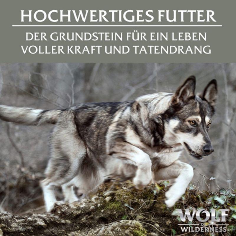 zooplus Wolf of Wilderness Adult - Single Protein 6 x 400 g kaufen Sonderangebot