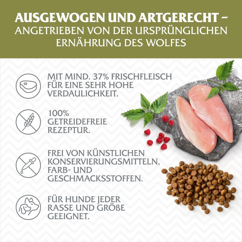 zooplus Wolf of Wilderness Senior Green Fields Lamm - getreidefrei kaufen Großer Ausverkauf