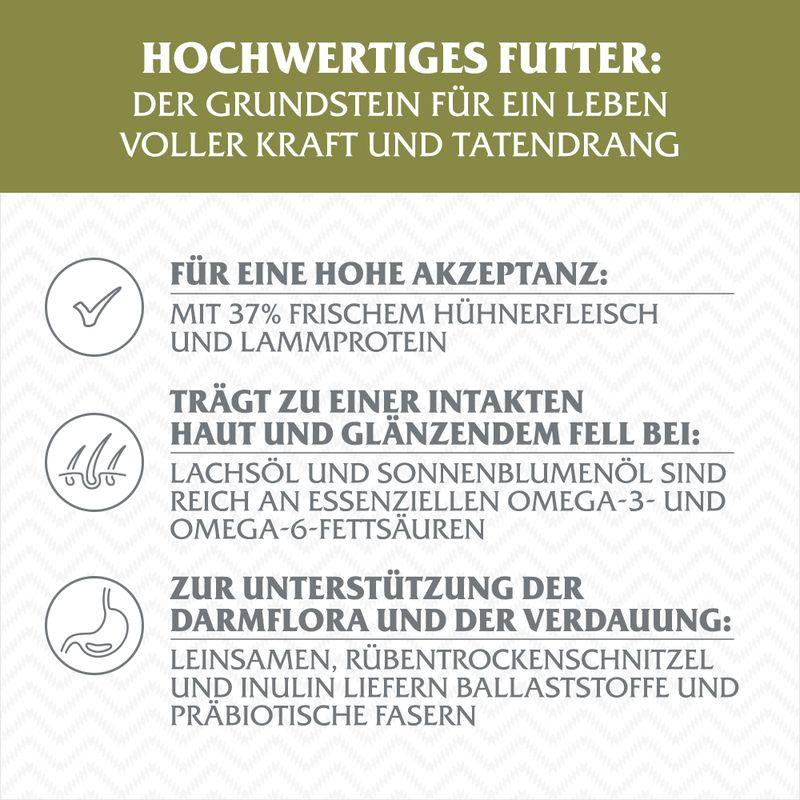 zooplus Wolf of Wilderness Senior Green Fields Lamm - getreidefrei kaufen Großer Ausverkauf